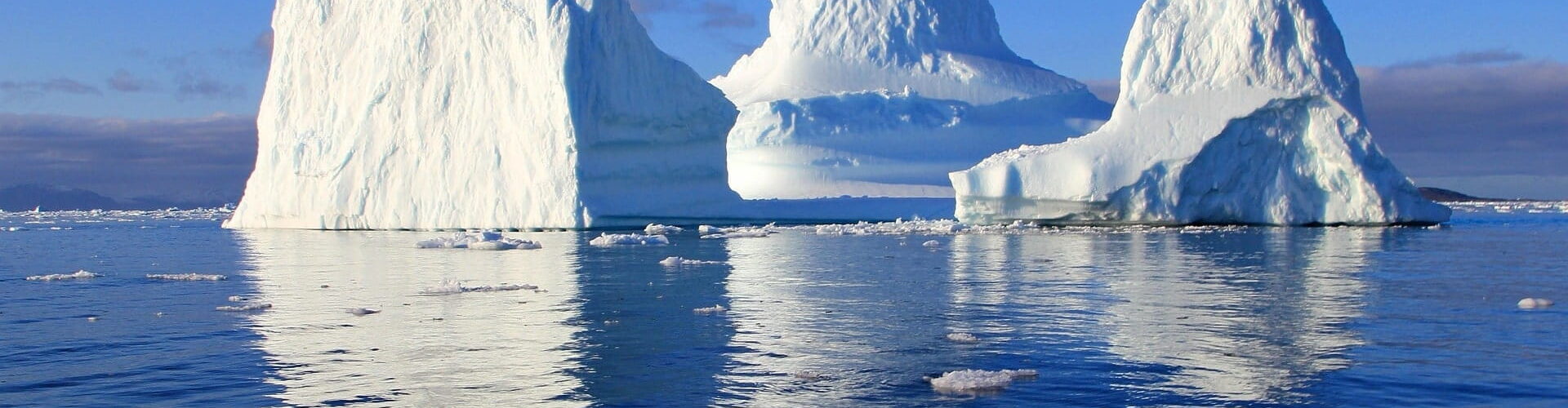 What How Why Thumbnail