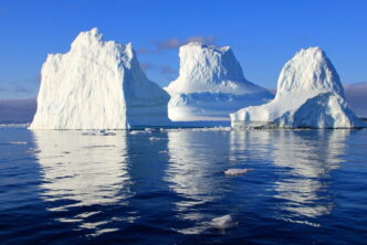 What How Why Thumbnail