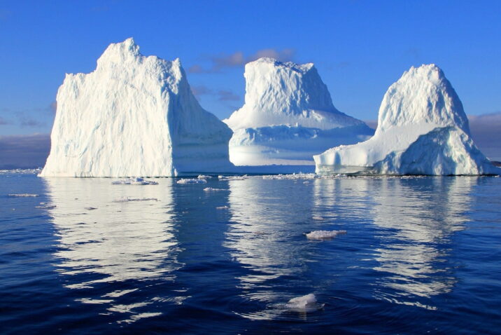 What How Why Thumbnail